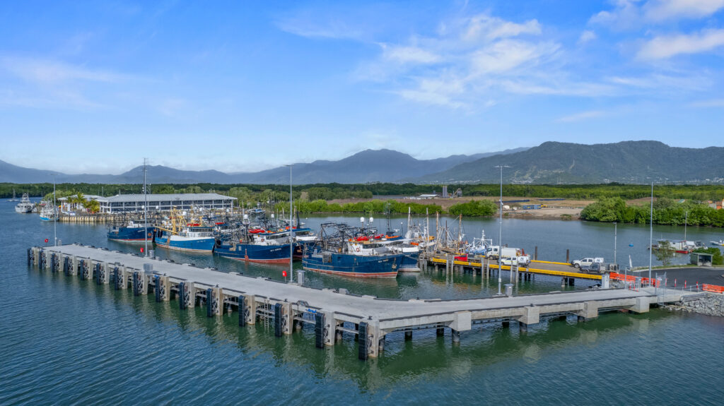 cairns port early works
